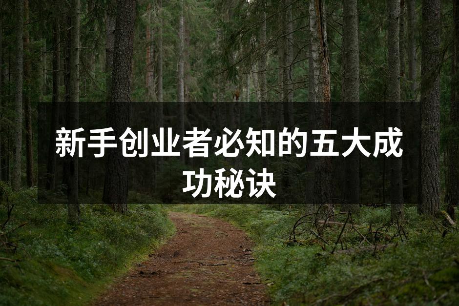 新手创业者必知的五大成功秘诀